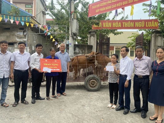 Chương trình trao tặng bò giống sinh sản cho hội viên hội người mù huyện Ứng Hòa